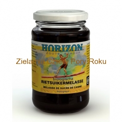Melasa z trzciny cukrowej BIO 450g Horizon